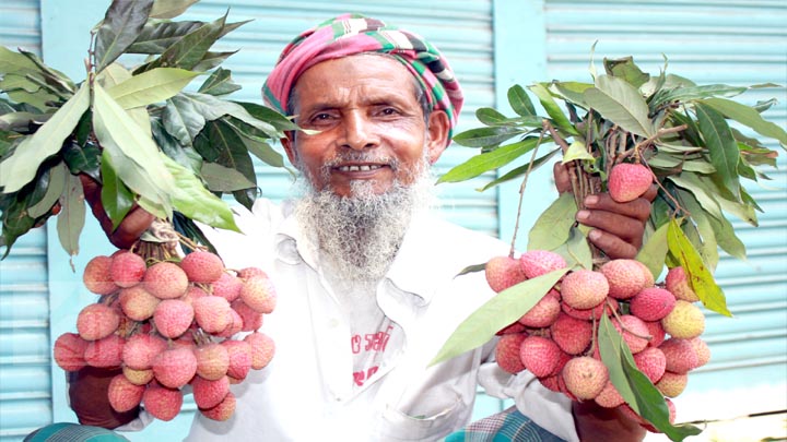 জমে উঠেছে লিচুর বাজার: দাম চড়া